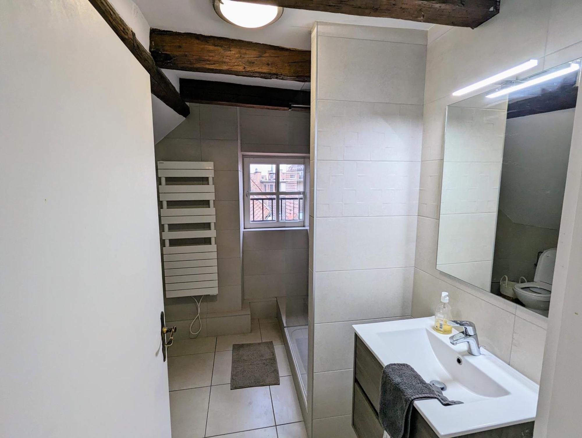 שטרסבורג Appartement Des Serruriers מראה חיצוני תמונה