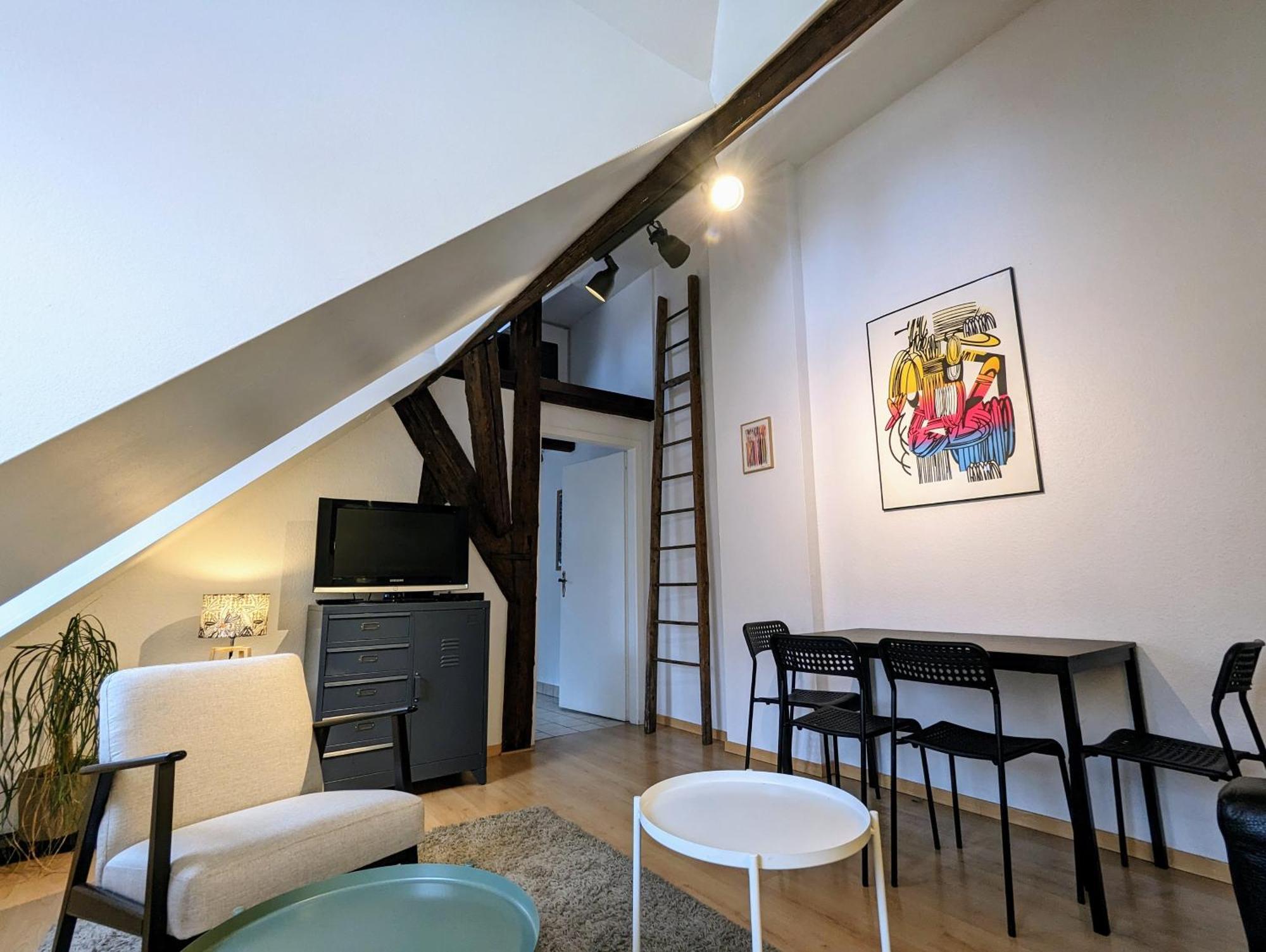 שטרסבורג Appartement Des Serruriers מראה חיצוני תמונה