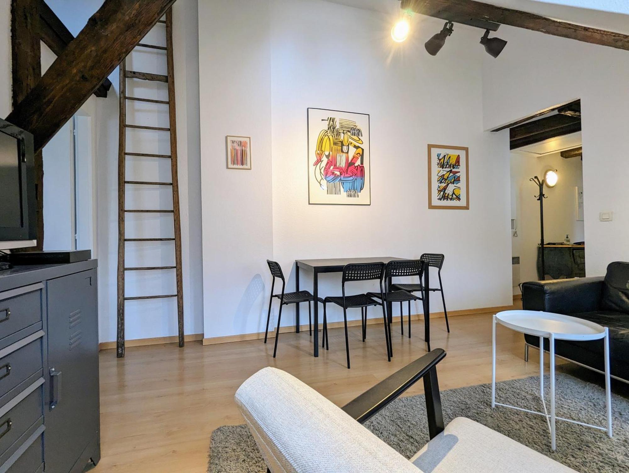 שטרסבורג Appartement Des Serruriers מראה חיצוני תמונה