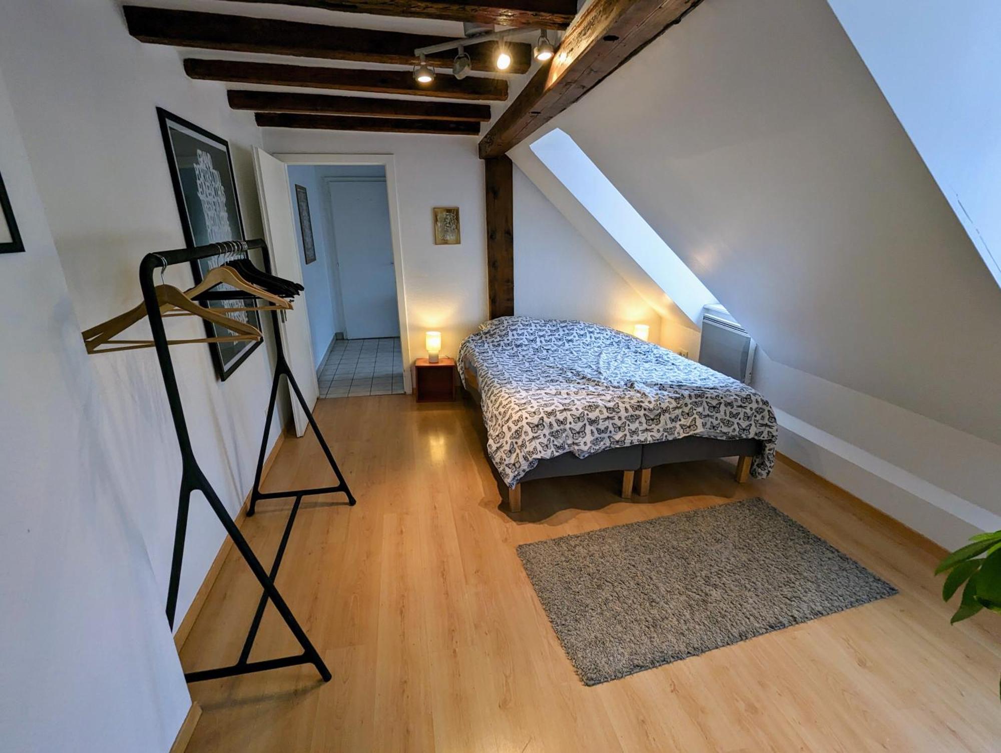 שטרסבורג Appartement Des Serruriers מראה חיצוני תמונה