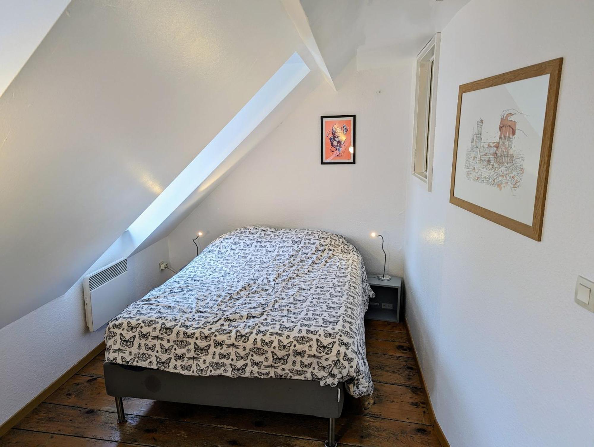 שטרסבורג Appartement Des Serruriers מראה חיצוני תמונה
