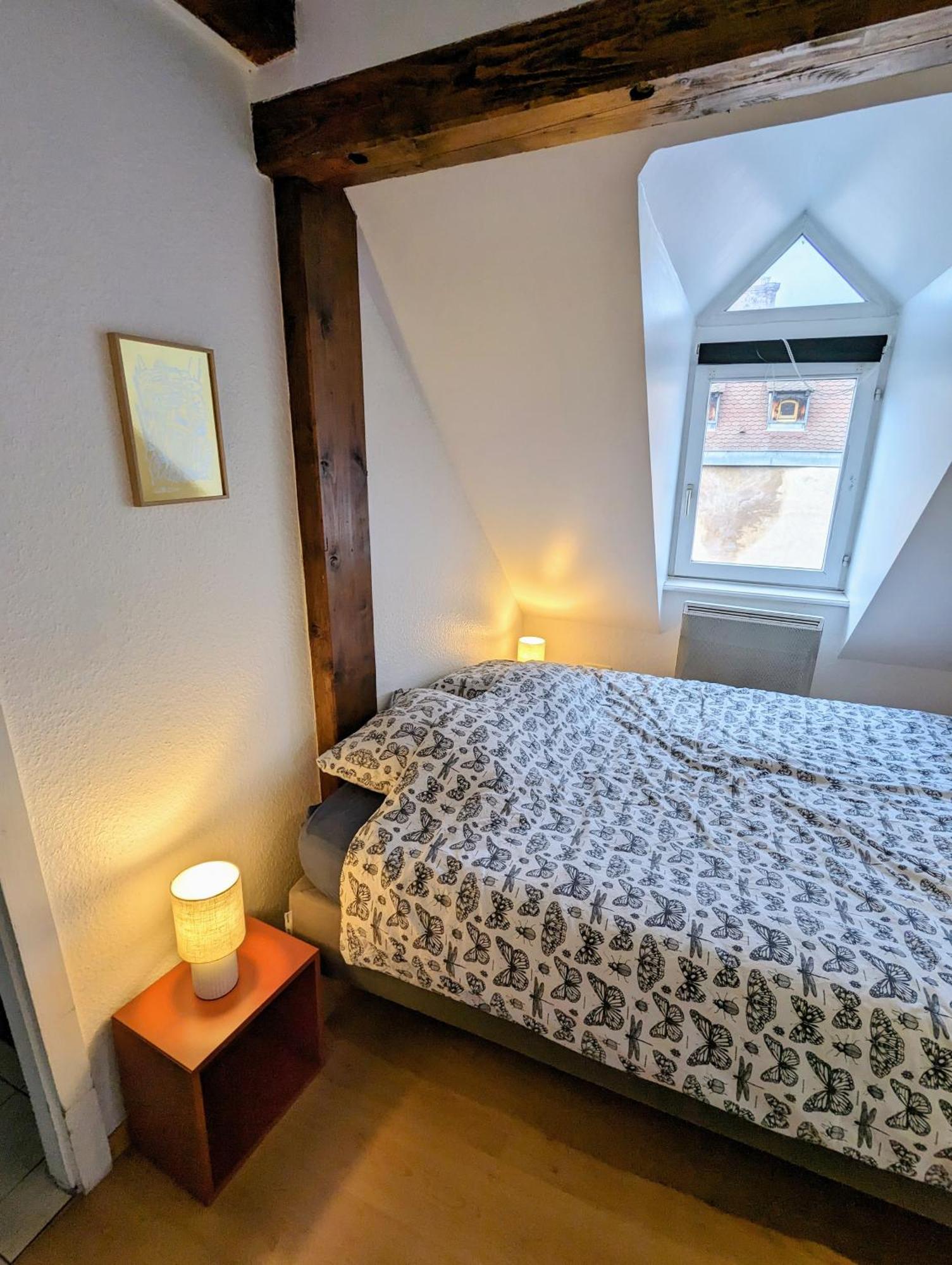 שטרסבורג Appartement Des Serruriers מראה חיצוני תמונה