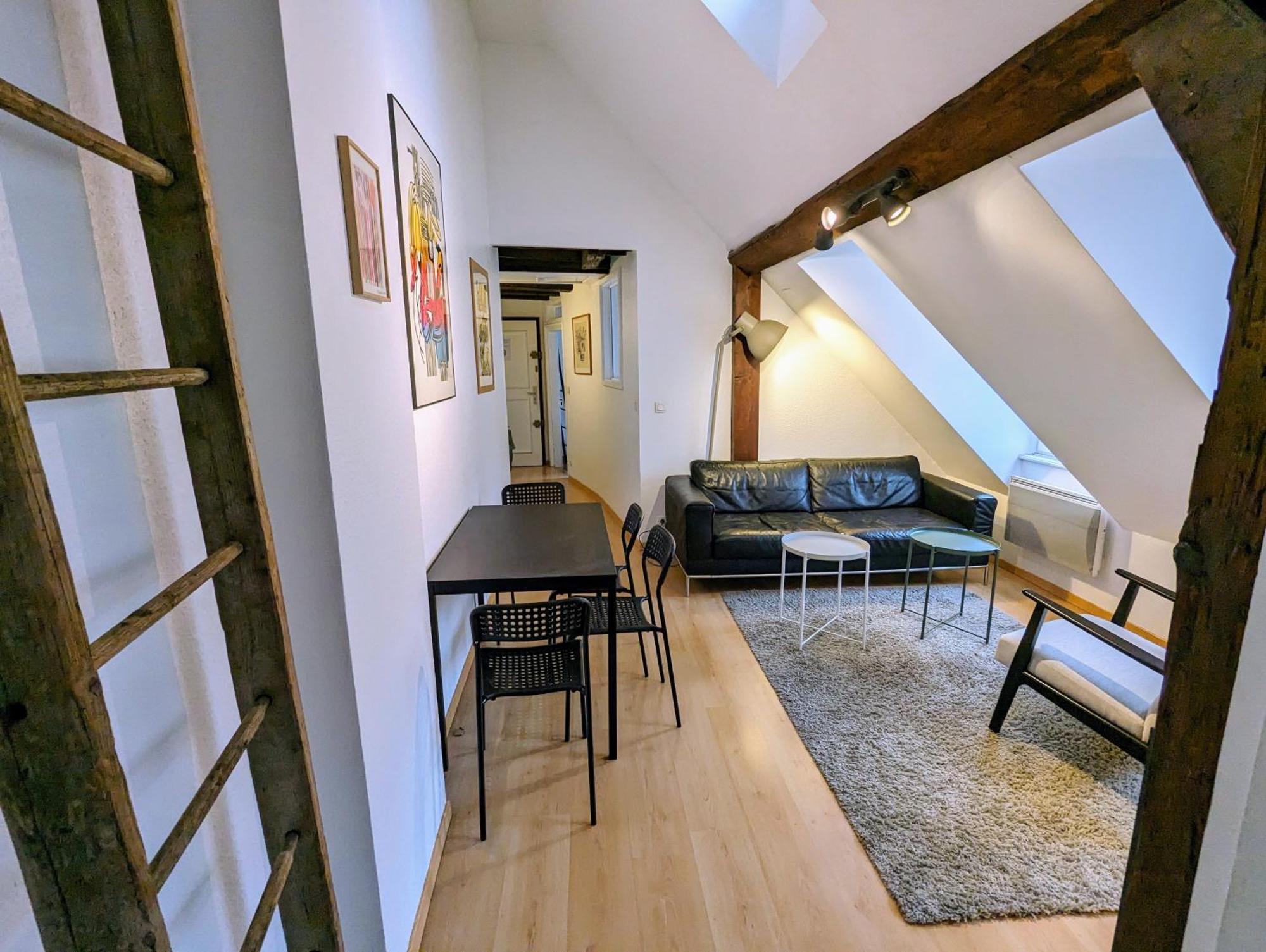 שטרסבורג Appartement Des Serruriers מראה חיצוני תמונה