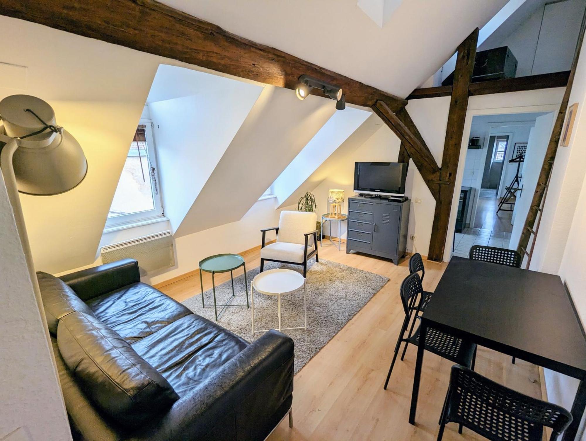 שטרסבורג Appartement Des Serruriers מראה חיצוני תמונה